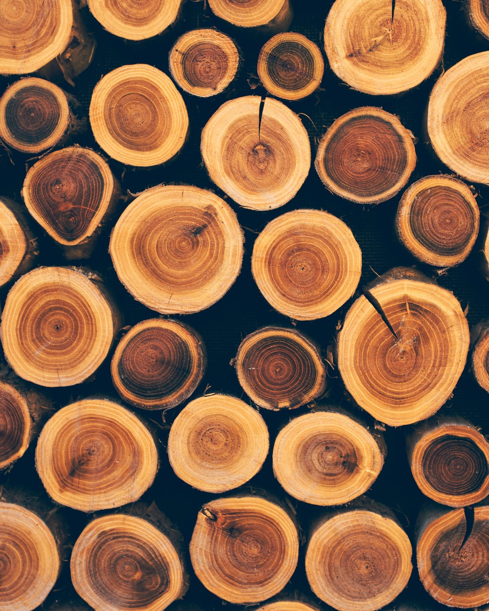 stacked-wood-logs-as-texture-2023-11-27-05-14-49-utc (1)-min